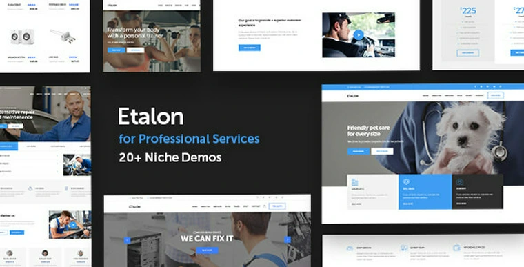 Etalon v1.2 - Multi-Concept Theme for Professional Services25782