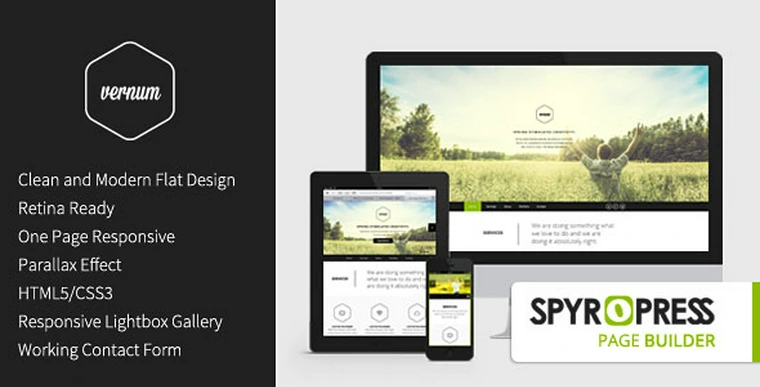 Vernum v3.0 - Responsive OnePage Parallax Theme27872