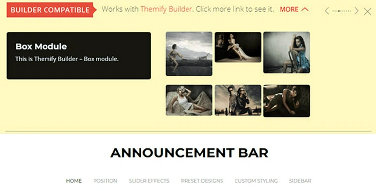 Announcement Bar v1.3.2 - WordPress Plugin35233