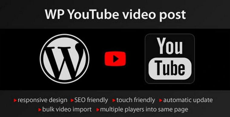 YouTube WordPress plugin v1.4.7 - video import24842