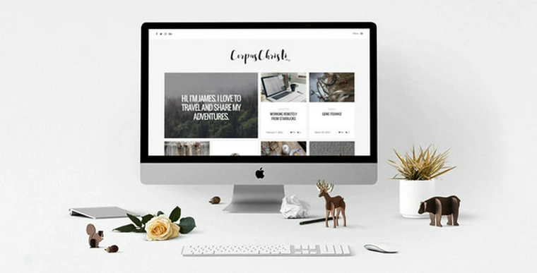 CorpusChristi v1.16 - Modern Blog WordPress Theme27003