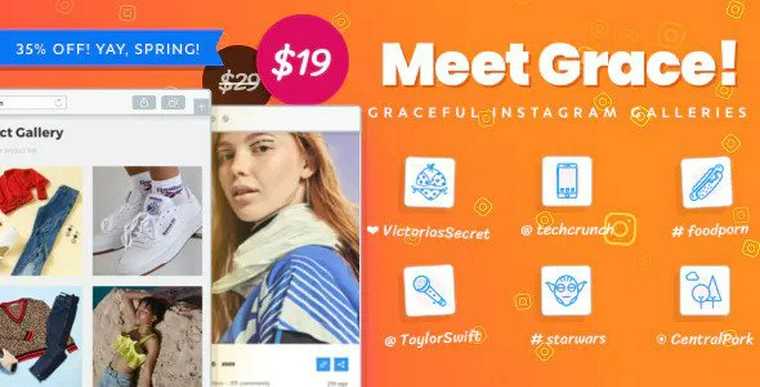 Grace for WordPress v1.2.8 - Instagram Feed Gallery49657