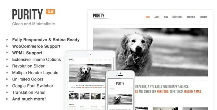 Purity v4.3.7 - Responsive, Minimal & Bold WP Theme37164