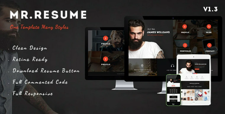 Morgan v1.3 - Resume, Profile and Portfolio WP Theme29396