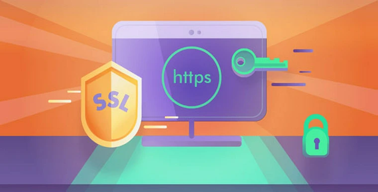 Really Simple SSL Pro v8.2.543769