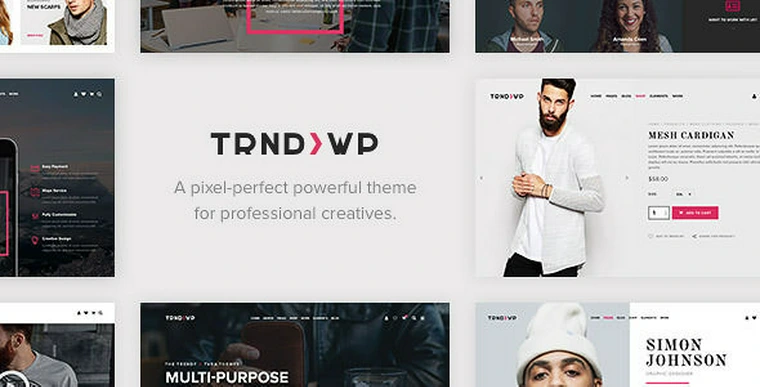 Trendy v1.6.5 - Creative Multi-Purpose WordPress Theme24049