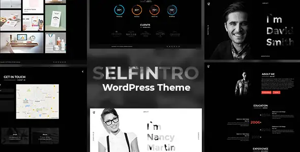 Selfintro v1.0.3 - A CV & Portfolio WordPress Theme26342