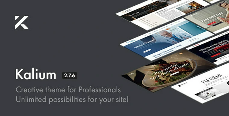 Kalium v2.7.6 - Creative Theme for Professionals28678