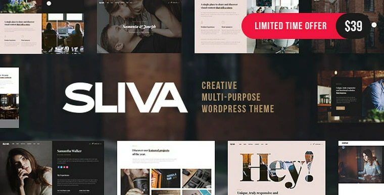 Sliva v1.0 - Responsive Multi-Purpose Theme28227