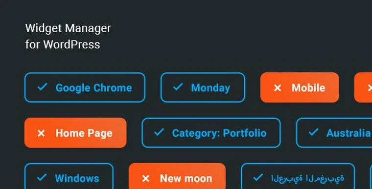 Widget Manager v1.0.0 - WordPress widgets management system37423