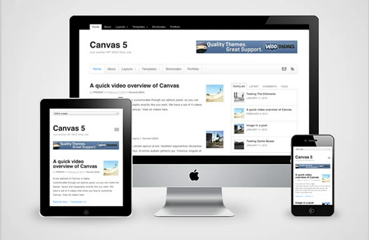 Canvas v5.12.0 - Woothemes Wordpress Theme23641