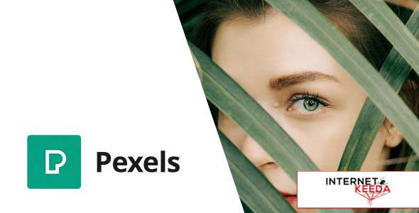 Pexels v1.0 - Import Free Stock Images into WordPress 53346