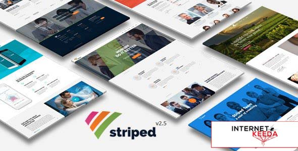 Striped v2.5 - Multipurpose Business and Corporate Theme 54911