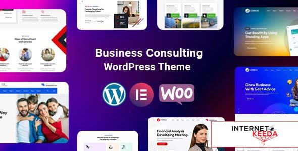 Consua v1.0 - Business Consulting WordPress 65642